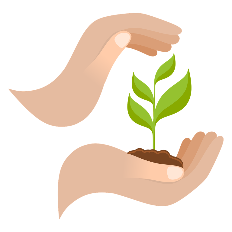 découvrez comment adopter une croissance durable pour votre entreprise ou votre projet, avec des stratégies axées sur la responsabilité environnementale, l’innovation et la performance à long terme.