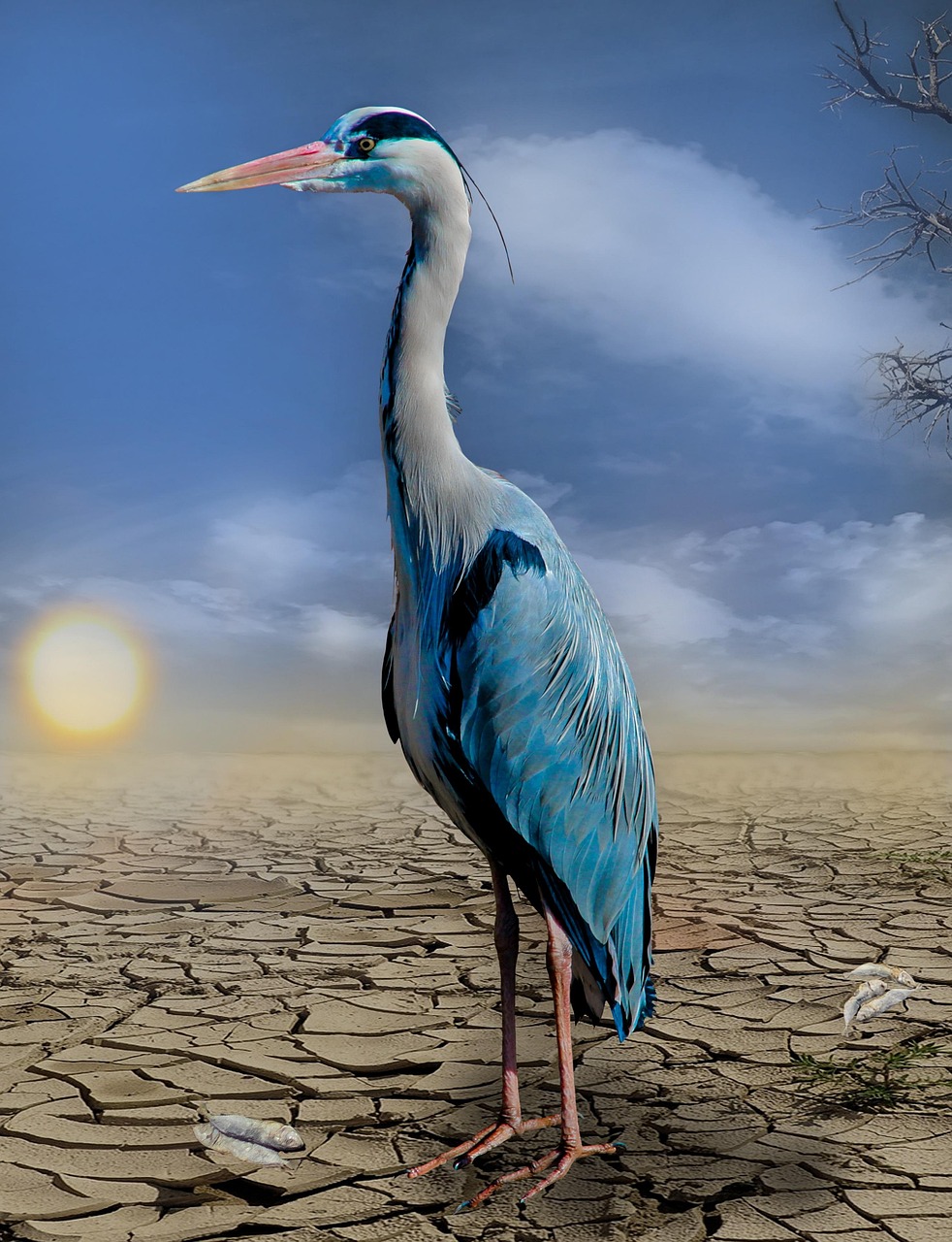 découvrez les causes, conséquences et solutions du changement climatique. informez-vous sur les impacts environnementaux et les actions à adopter pour protéger notre planète.