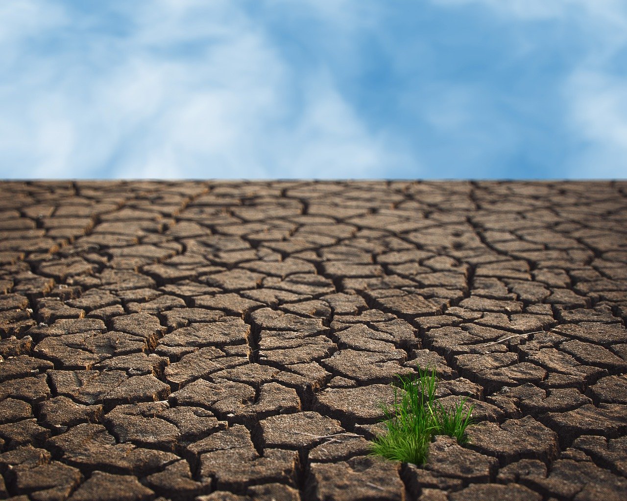 découvrez les enjeux majeurs du changement climatique, ses impacts sur notre planète et les solutions durables pour préserver notre environnement. engagez-vous pour un avenir plus vert et informez-vous sur les actions à entreprendre face à cette crise mondiale.