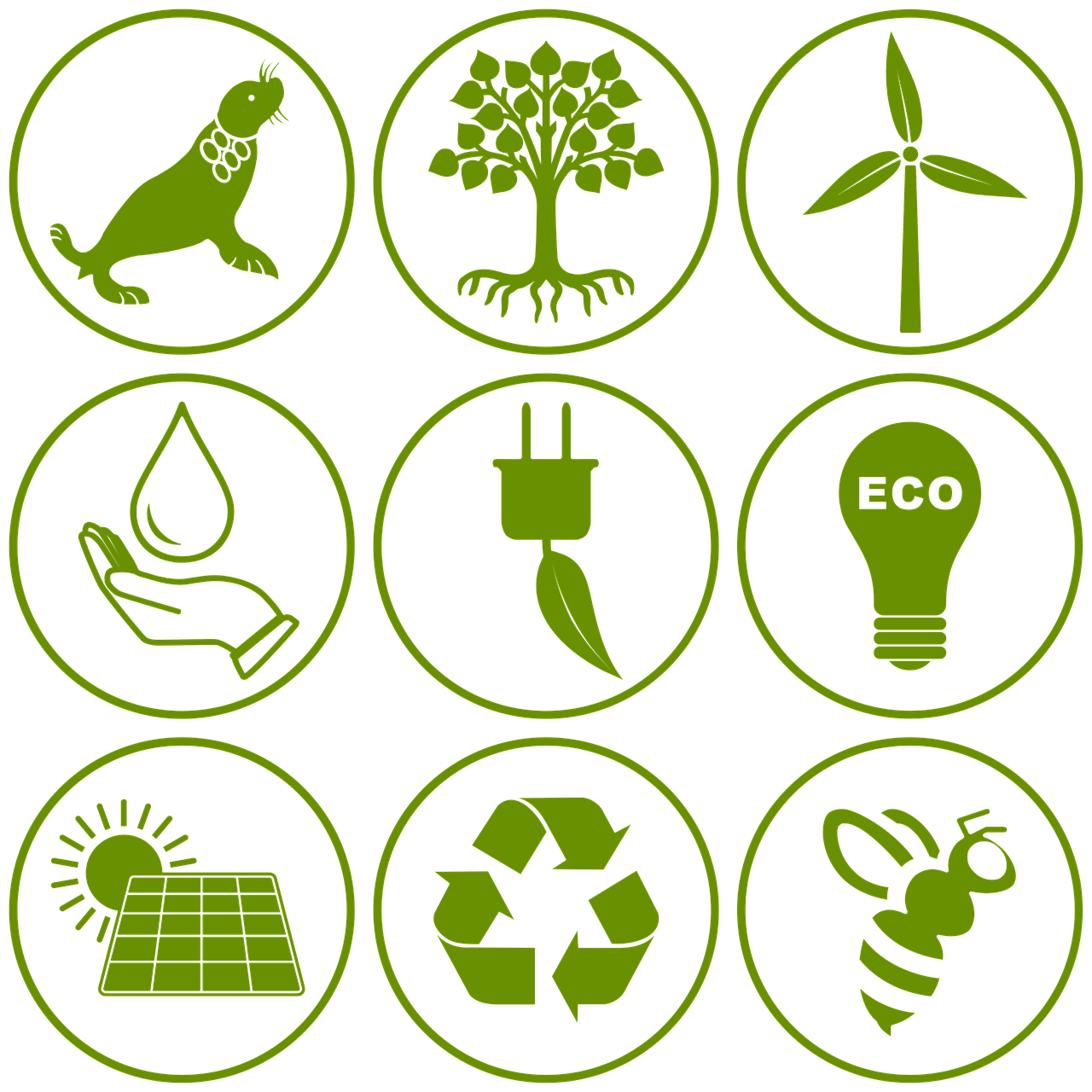 découvrez l'importance de la durabilité dans notre monde moderne. apprenez comment adopter des pratiques respectueuses de l'environnement et contribuer à un avenir durable pour les générations futures.