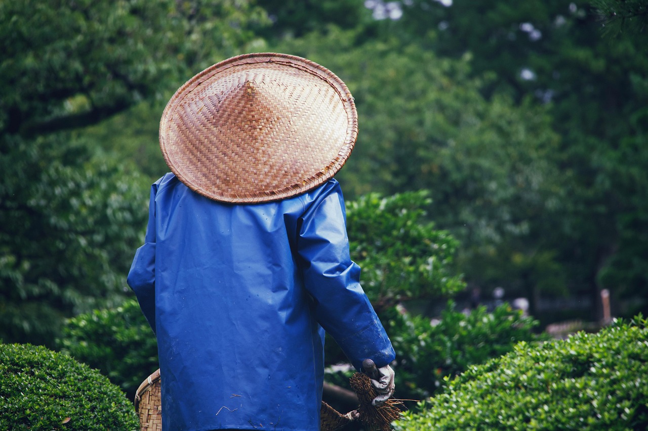 découvrez les techniques de jardinage en permaculture urbaine pour cultiver un espace vert productif et durable en ville.