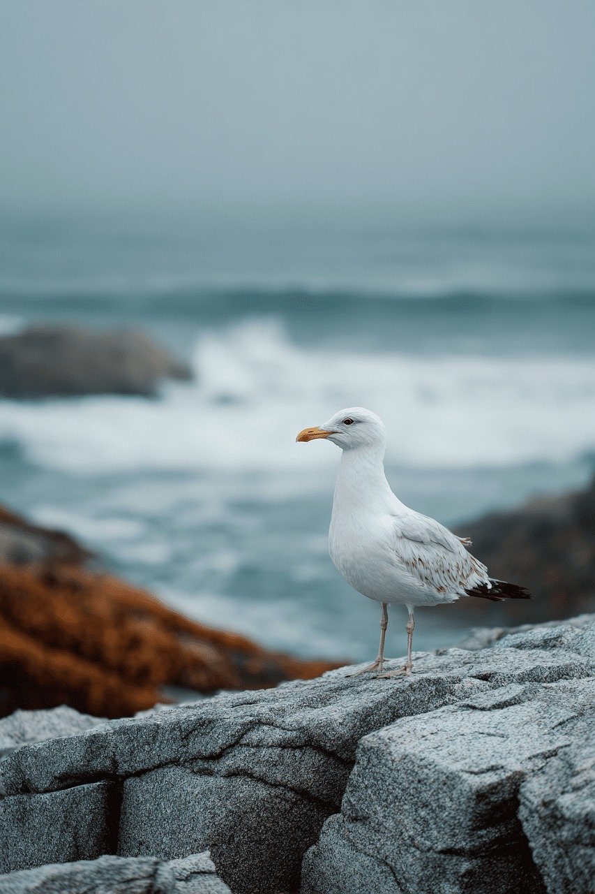 découvrez le minimalisme : un art de vivre qui privilégie l'essentiel, la simplicité et le désencombrement pour un quotidien plus harmonieux et serein.