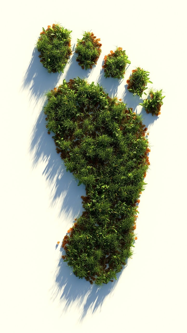 découvrez ce qu'est l'empreinte écologique, son impact sur l'environnement et comment réduire votre consommation pour un avenir durable.