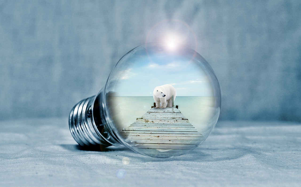 découvrez les enjeux et solutions de la transition énergétique pour un avenir durable, alliant efficacité, innovation et respect de l'environnement.