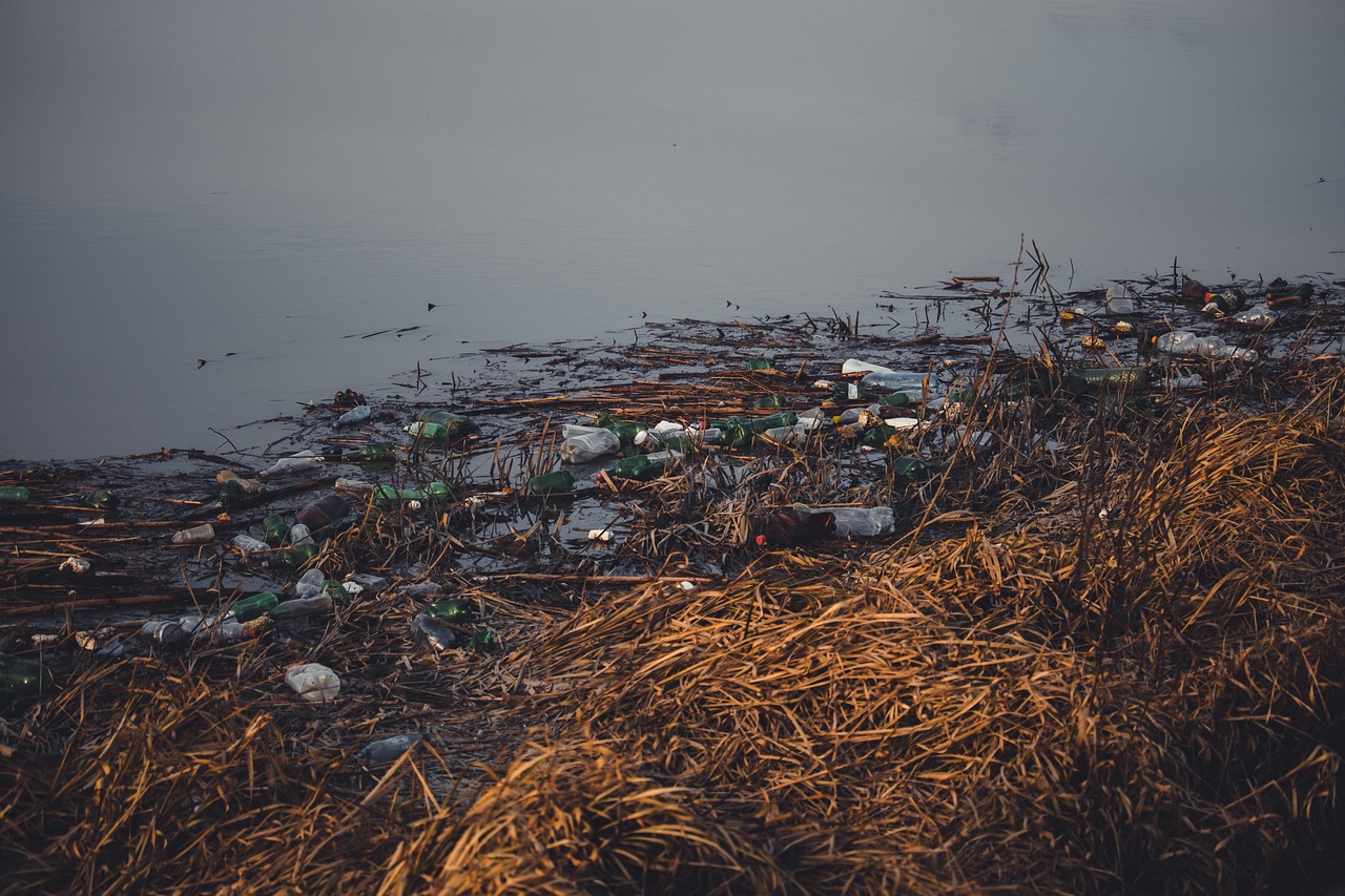 apprenez comment recycler efficacement le plastique à la maison pour réduire les déchets et protéger l'environnement grâce à nos conseils pratiques et simples.