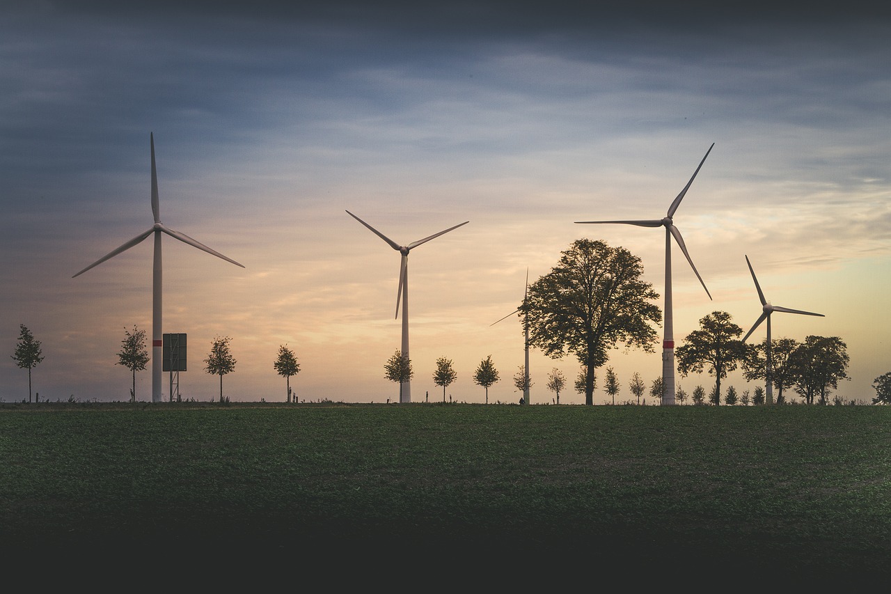 découvrez l'impact environnemental et les actions pour préserver la planète face aux défis écologiques actuels.