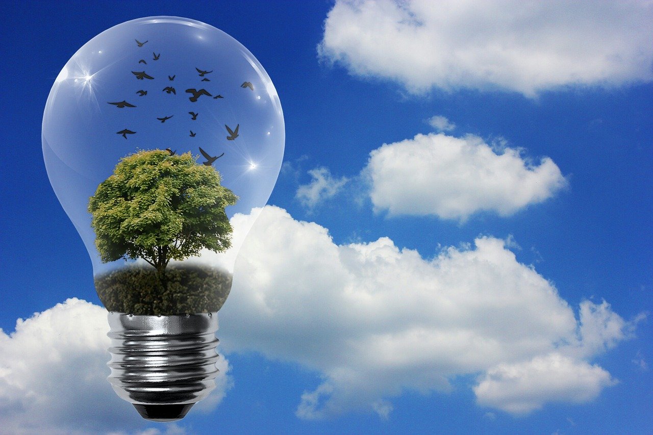 découvrez les enjeux et les avantages des énergies renouvelables. informez-vous sur les différentes sources d'énergie propre et leur impact positif sur l'environnement et l'économie. engagez-vous dans la transition écologique dès aujourd'hui !