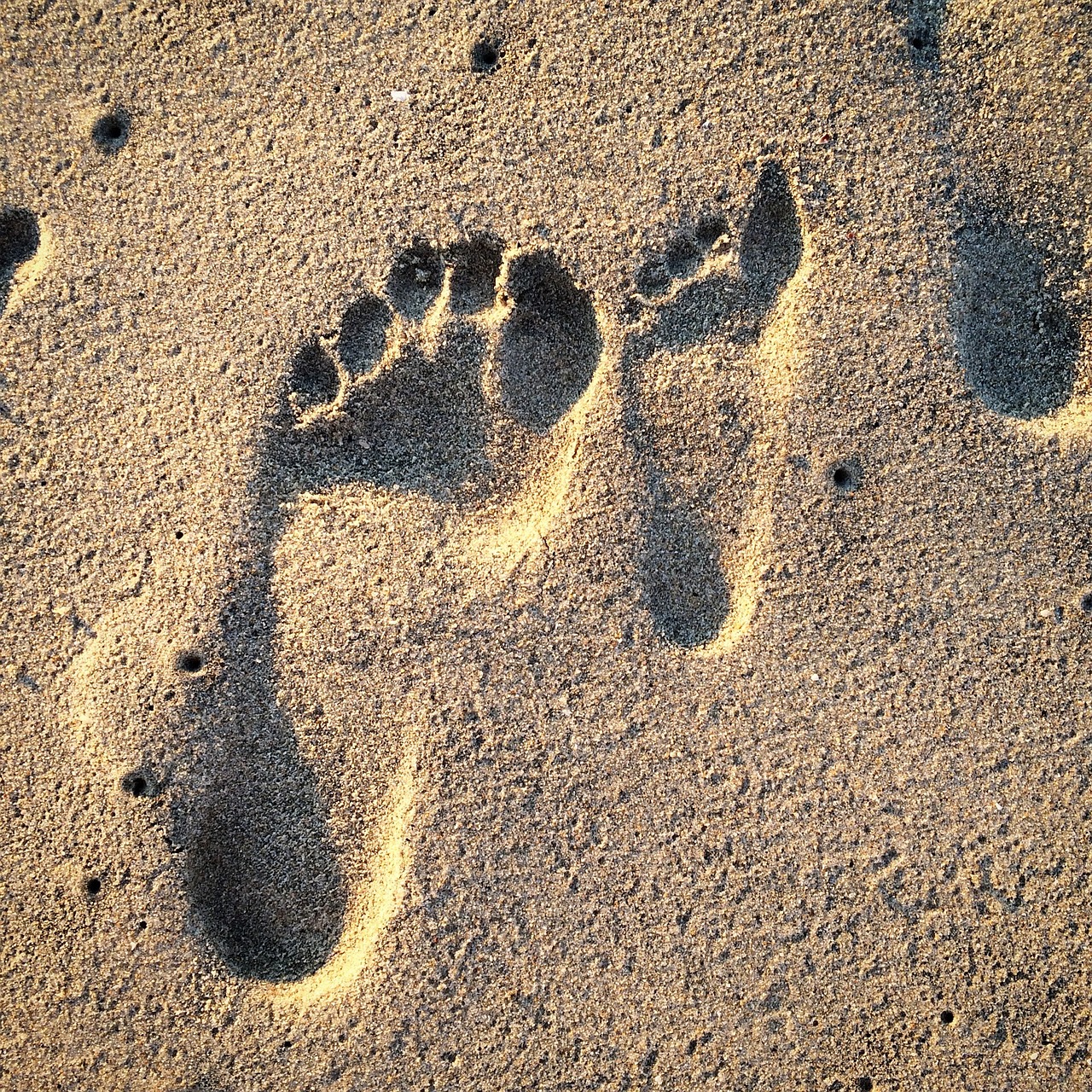 découvrez l'empreinte carbone, un indicateur essentiel de l'impact environnemental de nos activités. apprenez comment réduire votre empreinte et contribuer à un avenir plus durable.
