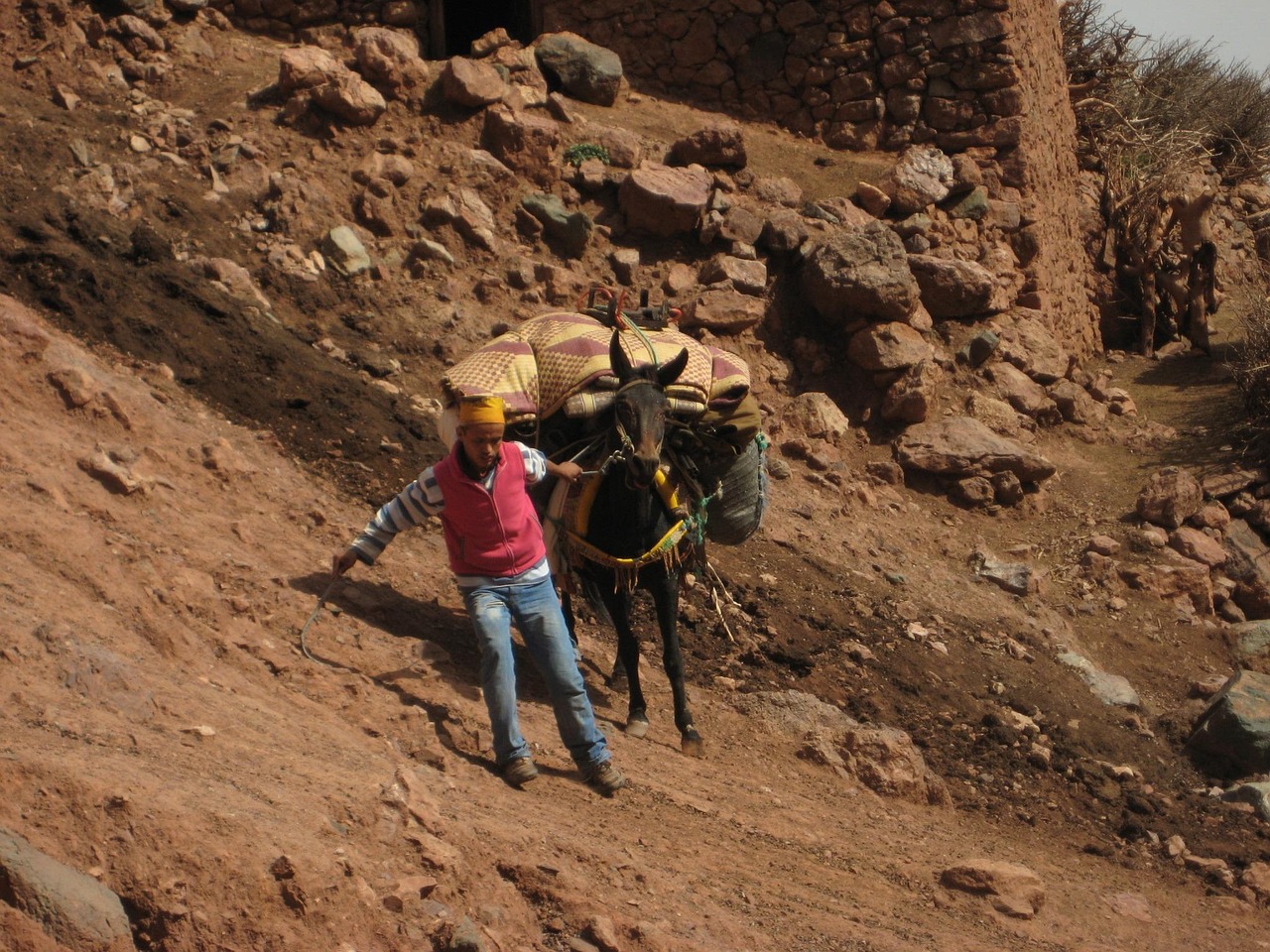 découvrez l'univers du sherpa, guide et porteur d'altitude reconnu pour son expertise en haute montagne et son rôle essentiel dans les expéditions himalayennes.
