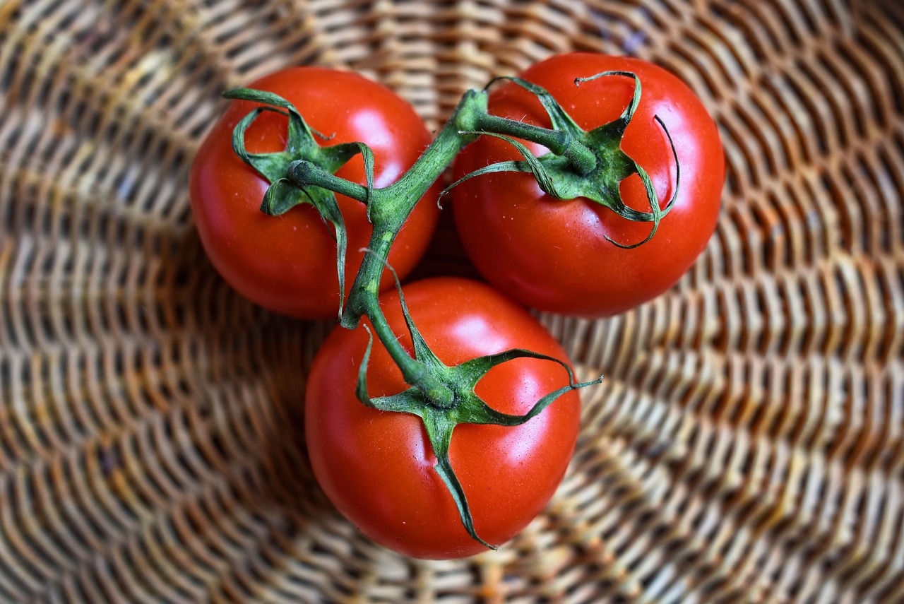 découvrez nos fruits et légumes biologiques, cultivés naturellement pour une alimentation saine et savoureuse. profitez de la fraîcheur et de la qualité des produits bio.