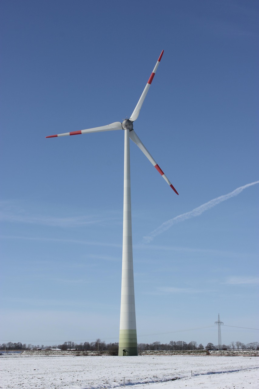 découvrez comment adopter des pratiques durables pour protéger l'environnement, réduire votre impact écologique et favoriser une société plus responsable. informations, conseils et actualités sur la durabilité et l'écologie.