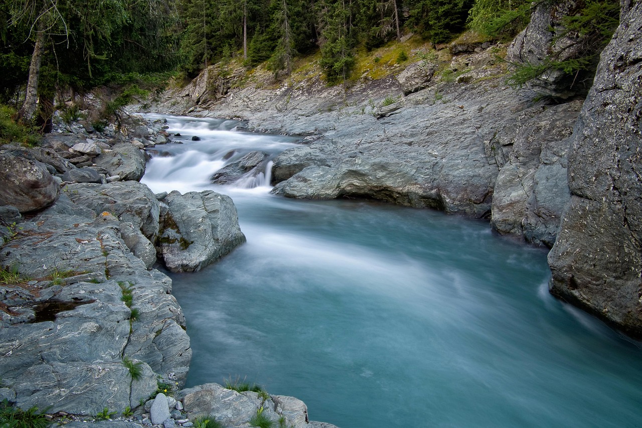 découvrez tout sur l'environnement : protection, enjeux écologiques et solutions durables pour préserver notre planète.