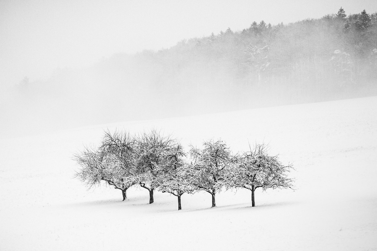 découvrez le minimalisme : un art de vivre épuré qui valorise la simplicité, la fonctionnalité et l'essentiel pour un quotidien plus serein et harmonieux.