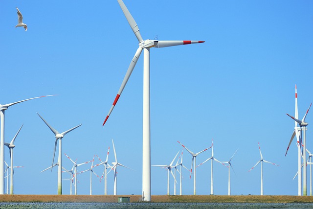 Écolonomie : comprendre les enjeux de la transition vers une économie durable
