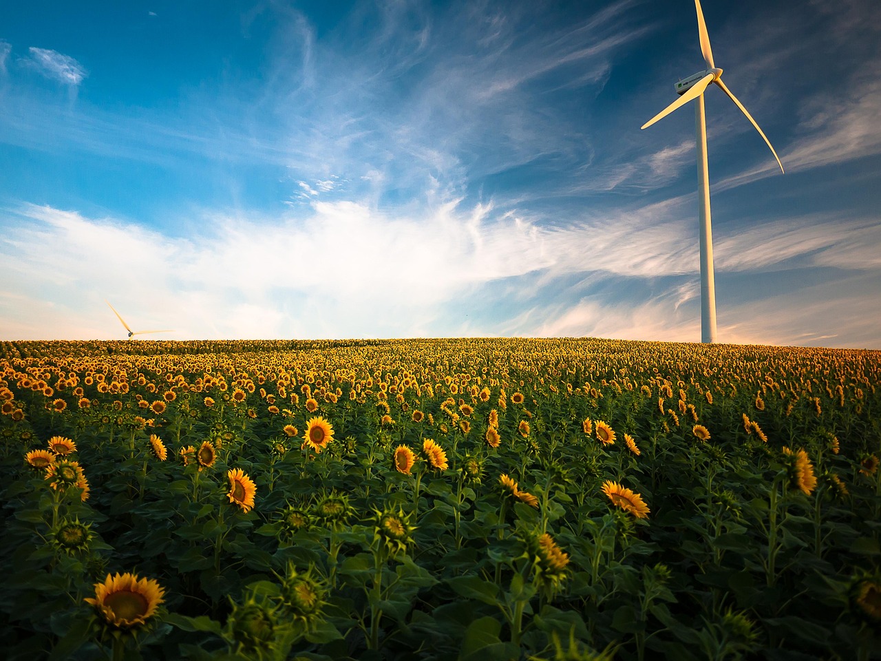 est-il possible d’interrompre l’expansion des éoliennes et des autres sources d’énergies renouvelables ?