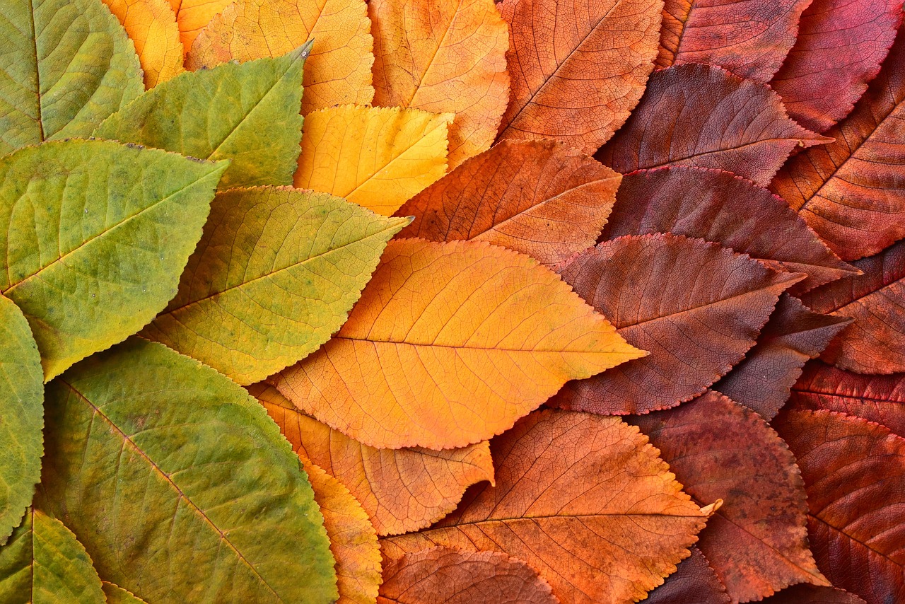 Le chemin vers une transformation durable