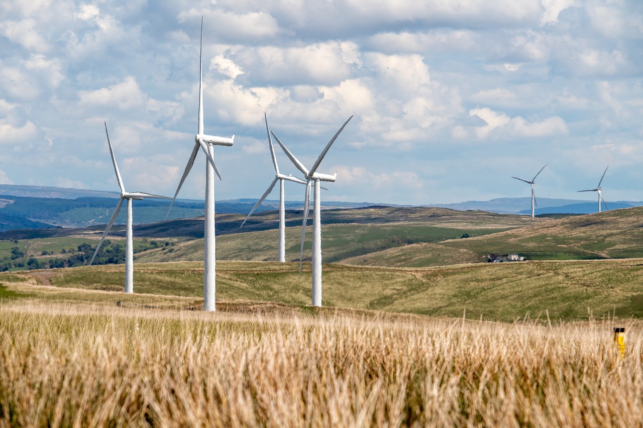 Énergies renouvelables : quelles pratiques pour un bilan carbone positif ?