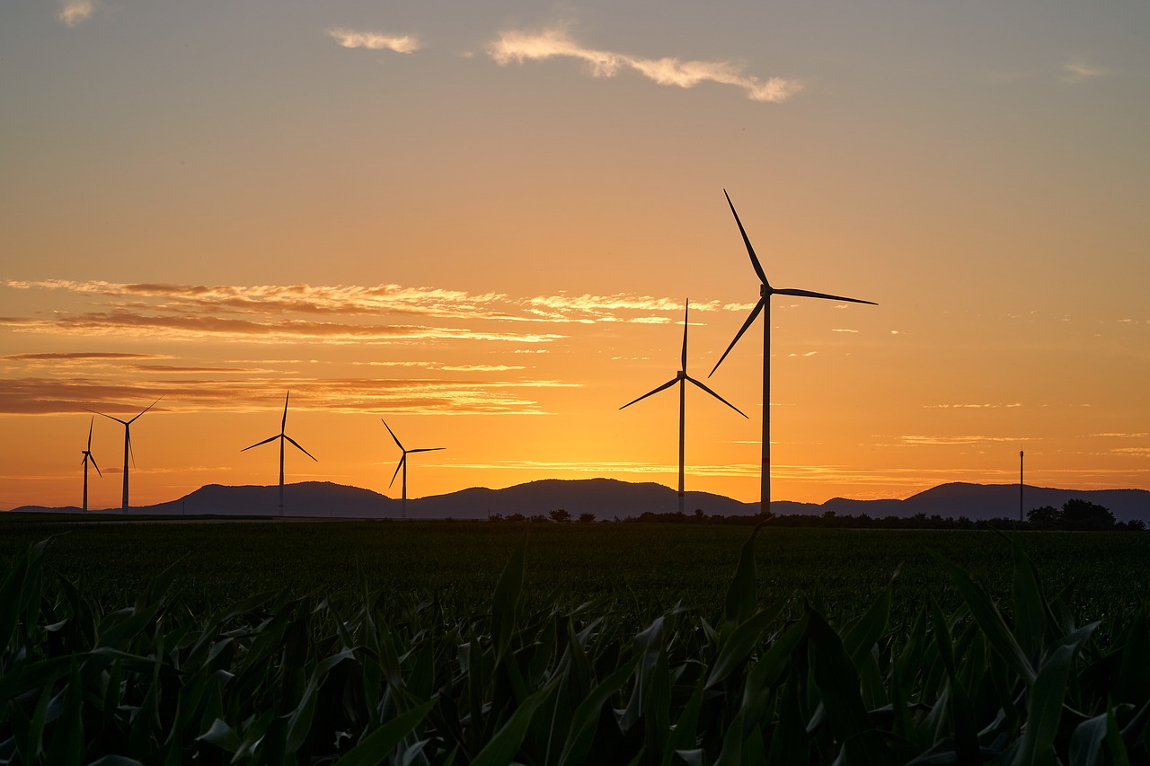 Énergies renouvelables : un levier pour le bilan carbone des entreprises