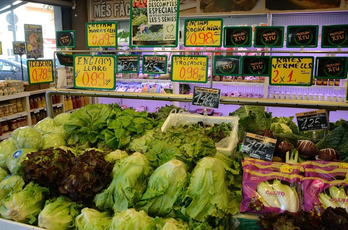 Acheter écolo : les raisons surprenantes qui dévoilent les pièges cachés de nombreux produits verts