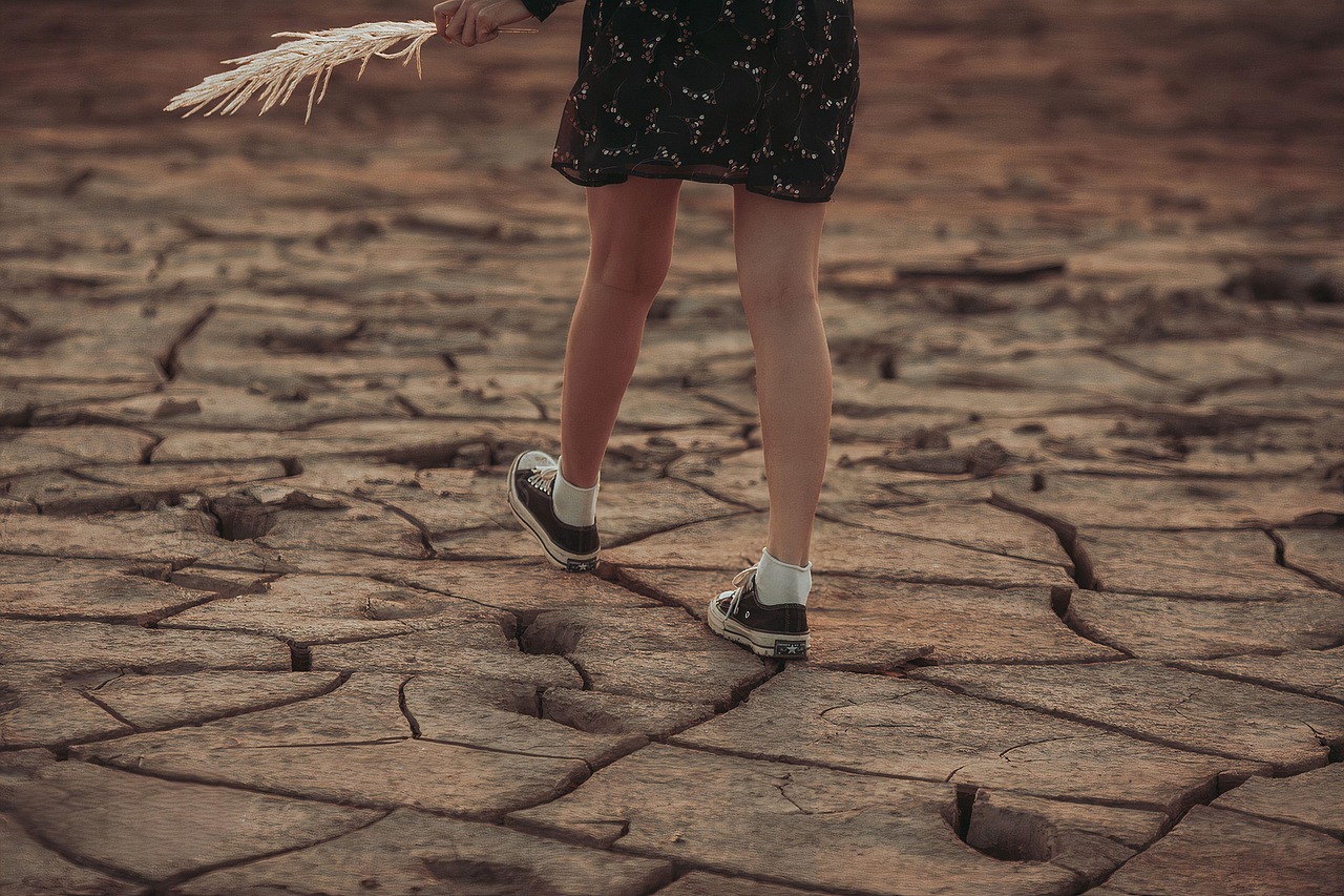 Évaluation de l’empreinte écologique : comprendre son impact sur notre planète