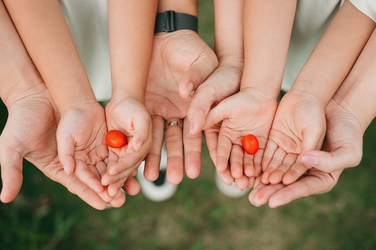 Adieu tuteur à tomates : en 2026, les jardiniers ingénieux adoptent cet outil méconnu pour leurs plantations…