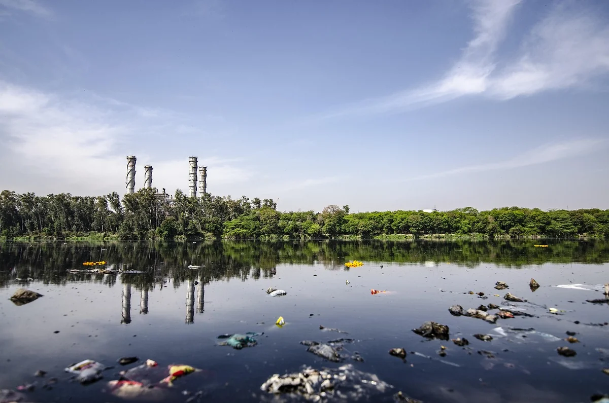 L’erreur fréquente en recyclage que vous ignorez et qui compromet tout – TRUC MANIA