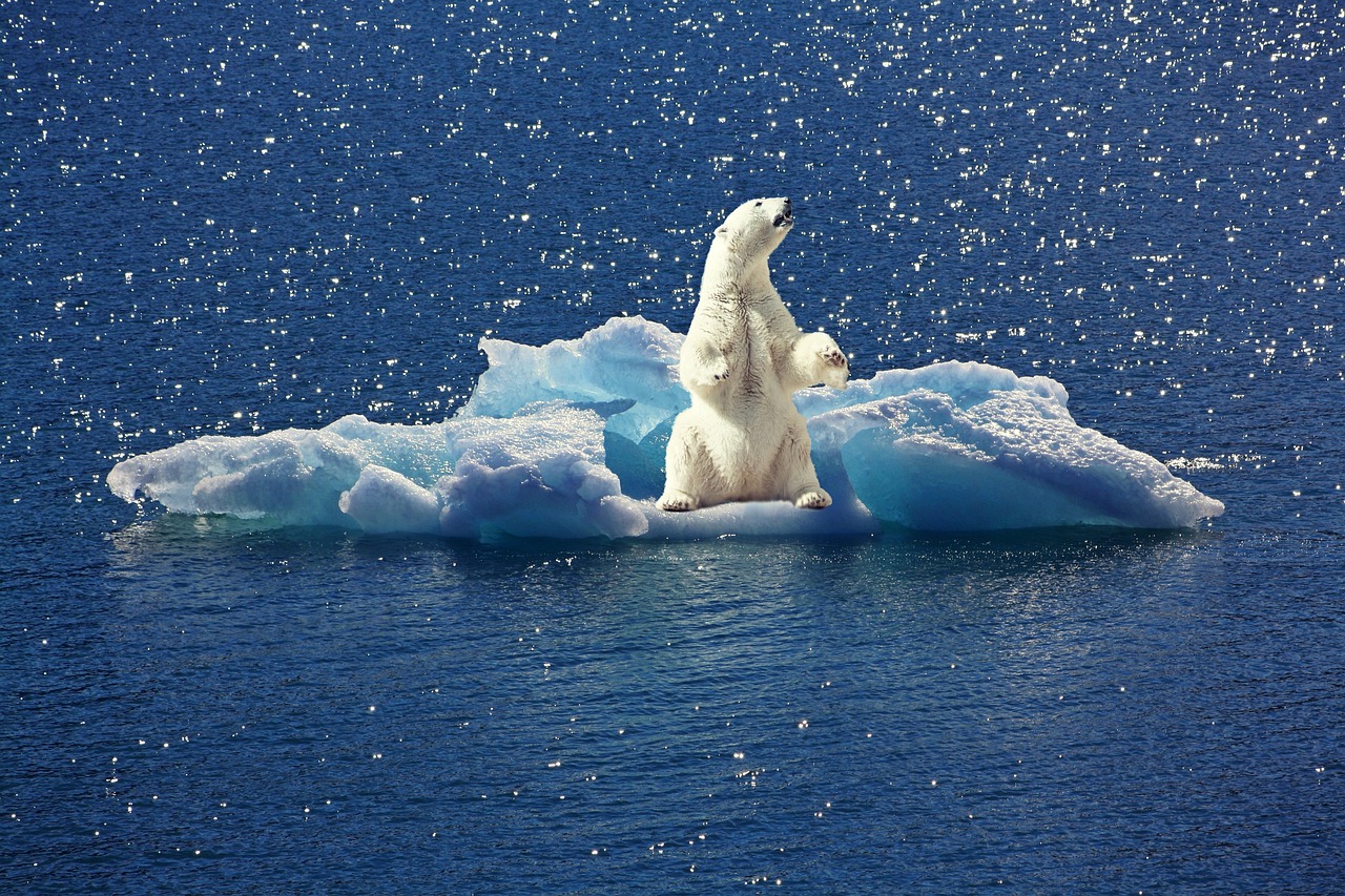Changements climatiques et bilan carbone : vers une conscience collective