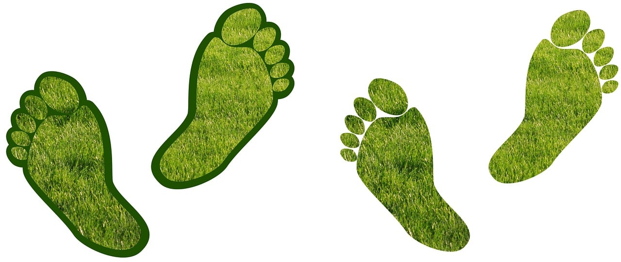 Comment le bilan carbone influence notre manière de consommer